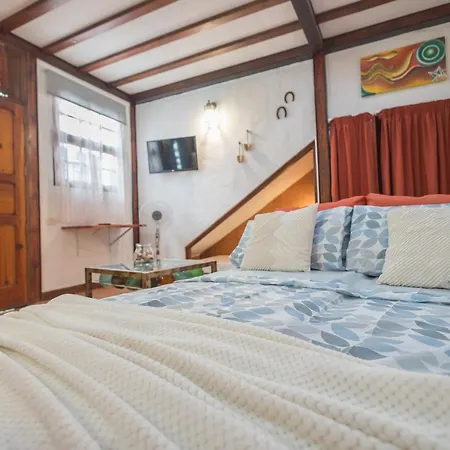 Strelitzia Estudio Agaete Appartement *